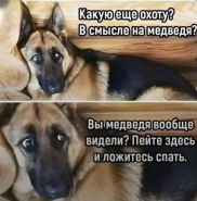 ����� �����.jpg