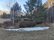 IMG_20260216_104902.jpg