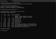 ������ ������ 2026-02-19 181108.jpg