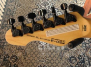 1000007156-edited-free (carve.photos).jpg