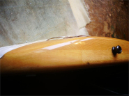 Greco Stratocaster 1975-15.jpg