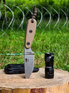 2490455-0
