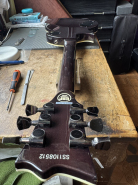 ESP LP-4.jpg