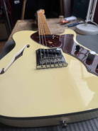 F.TELE Thinline 2011-11.jpg