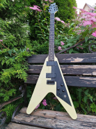 Schecter.jpg