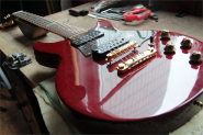 Gibson Les Paul Special DC 100th ANNIVERSARY 1994-28.jpg