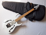 Ibanez-PGM-300.jpg