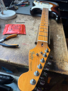 F.Strat 1984 E-1.jpg