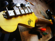 Nash Strat snb-5.jpg