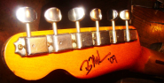 Nash Tele 2009-3.jpg