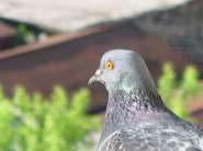 Фотокружок - Клуб обладателей зеркалок 189490-1