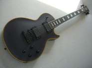 Обзор Edwards E-LP-112CE 201687-0