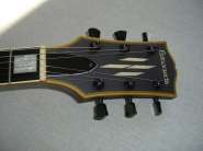 Обзор Edwards E-LP-112CE 201693-3