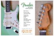 Fender Jeff Back Strat.jpg