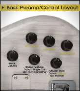 F Bass controls preamp layout.jpg