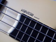 esp-horizon-bass-5.jpg