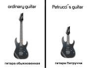 petrutchi.guitar.jpg