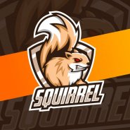 squirrel-mascot-esport-logo-design_139366-293.jpg